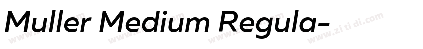 Muller Medium Regula字体转换